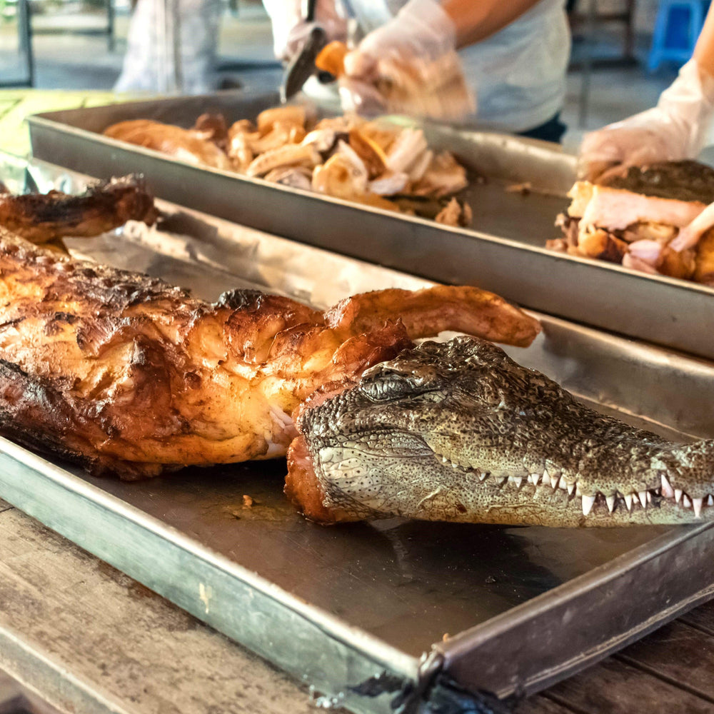 Crocodile meat